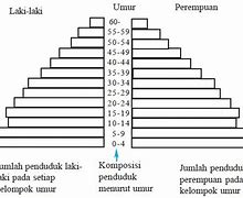 Piramida Penduduk Indonesia 2024